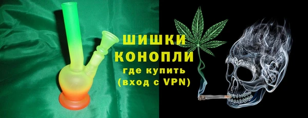 сатива Магадан
