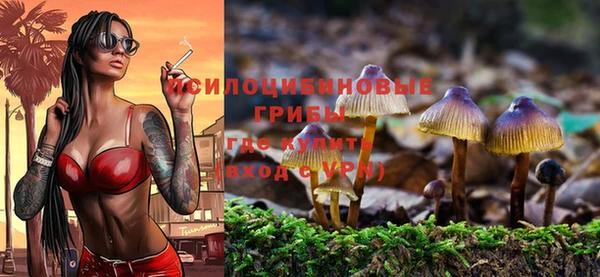 стаф Абдулино